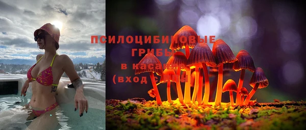 2c-b Верхнеуральск